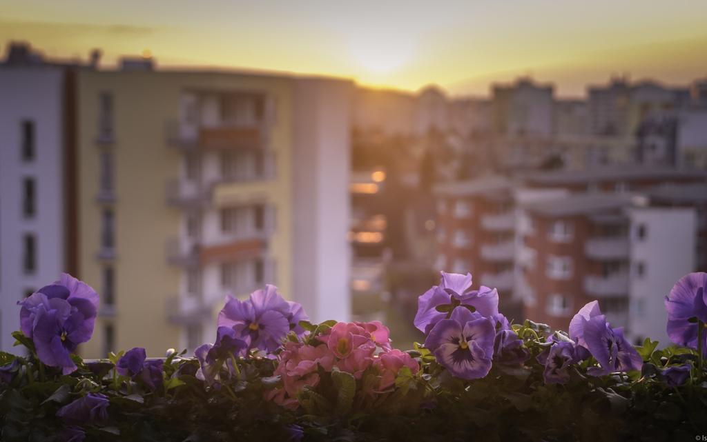 A Nice Place To Stay Apartments Prague Room photo